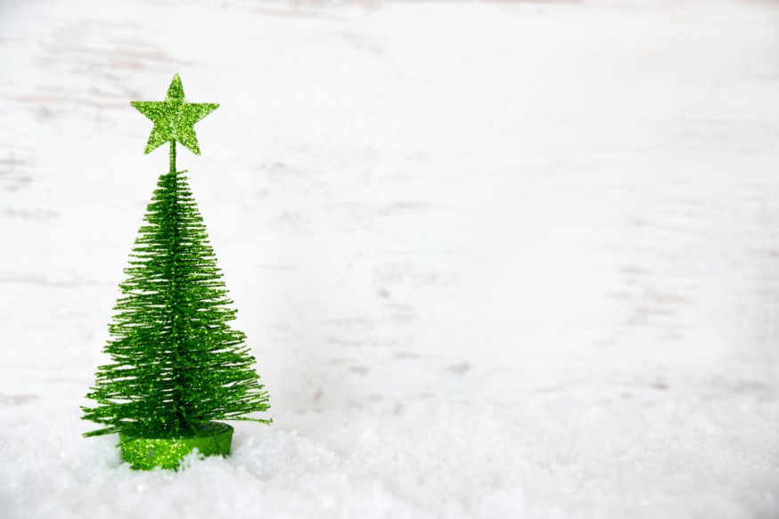 Lite juletre i snøen
